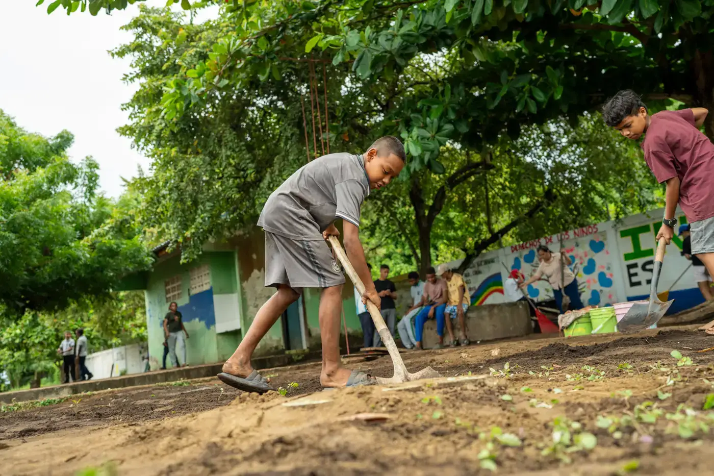 Jornada ambiental de siembra con estudiantes y docentes